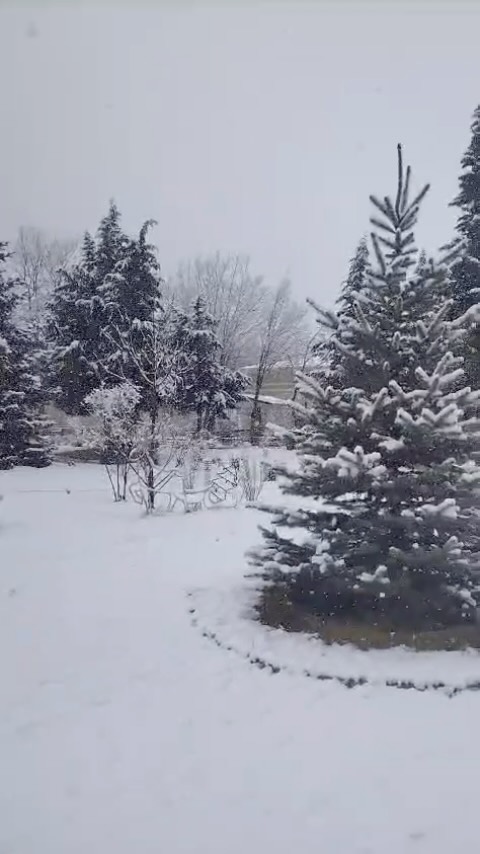Quba Cənnət Bağı Hotel 3