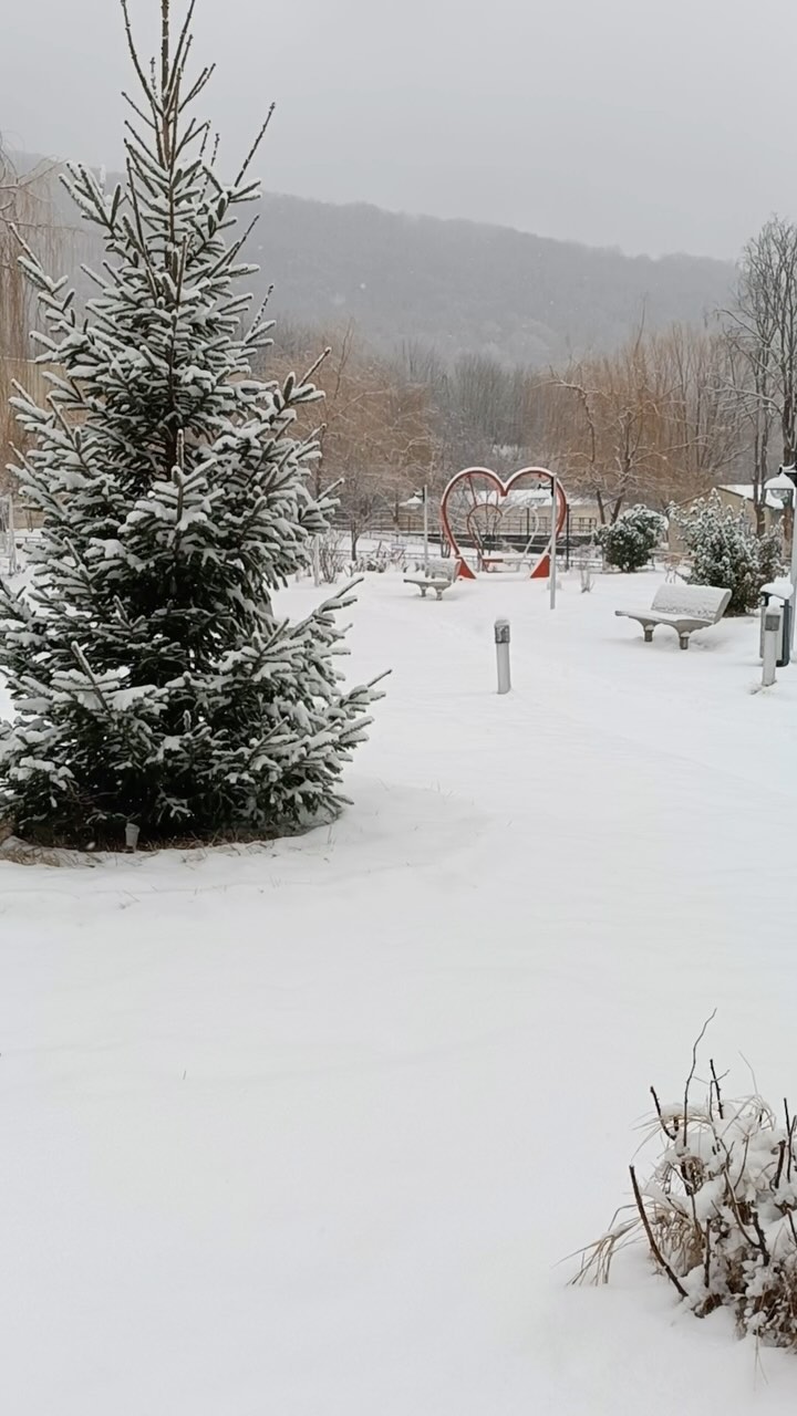 Quba Cənnət Bağı Hotel 4