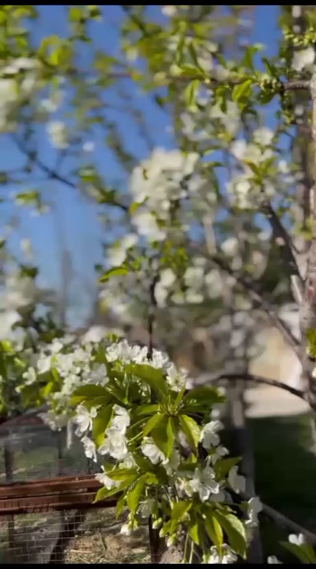 Nar Boutique Hotel 3