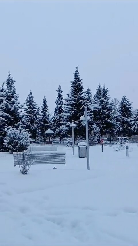 Quba Cənnət Bağı Hotel 5