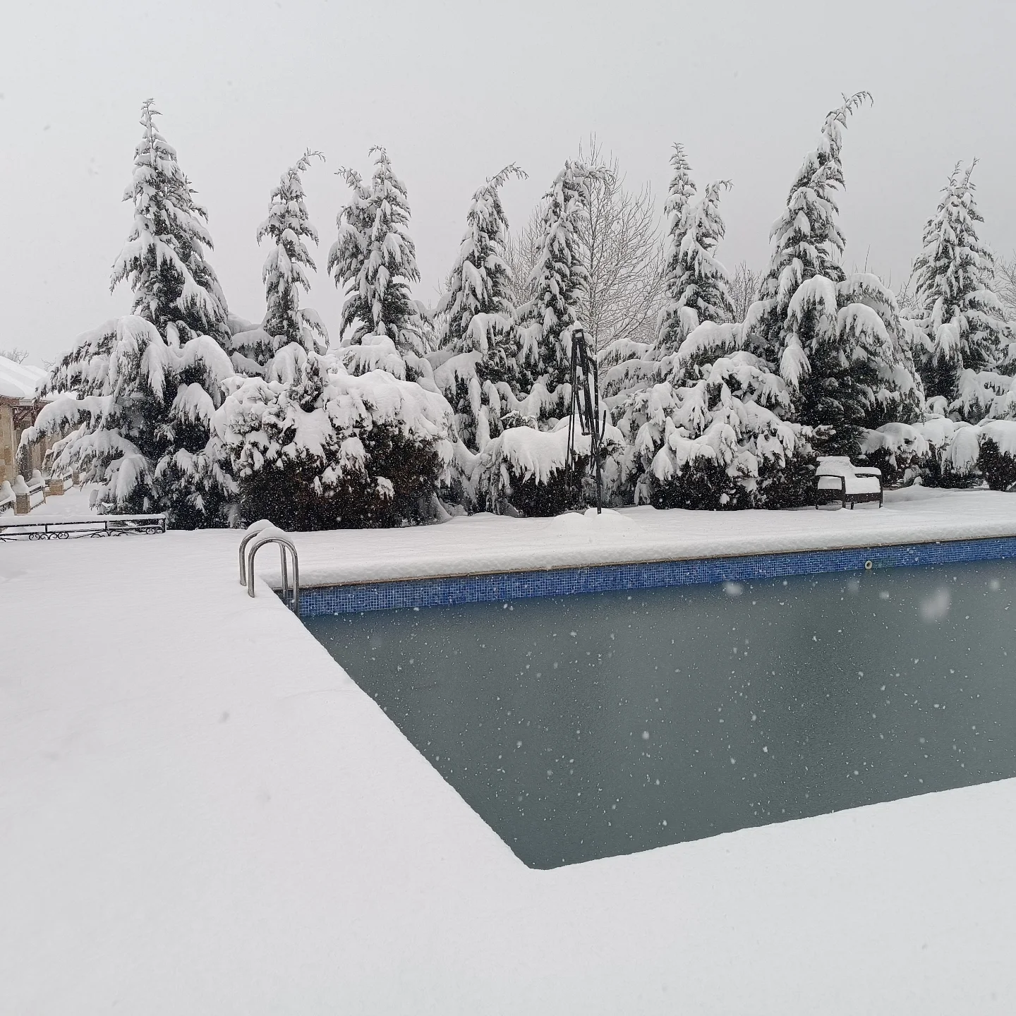 Bliss Hotel & Restaurant Gabala 5