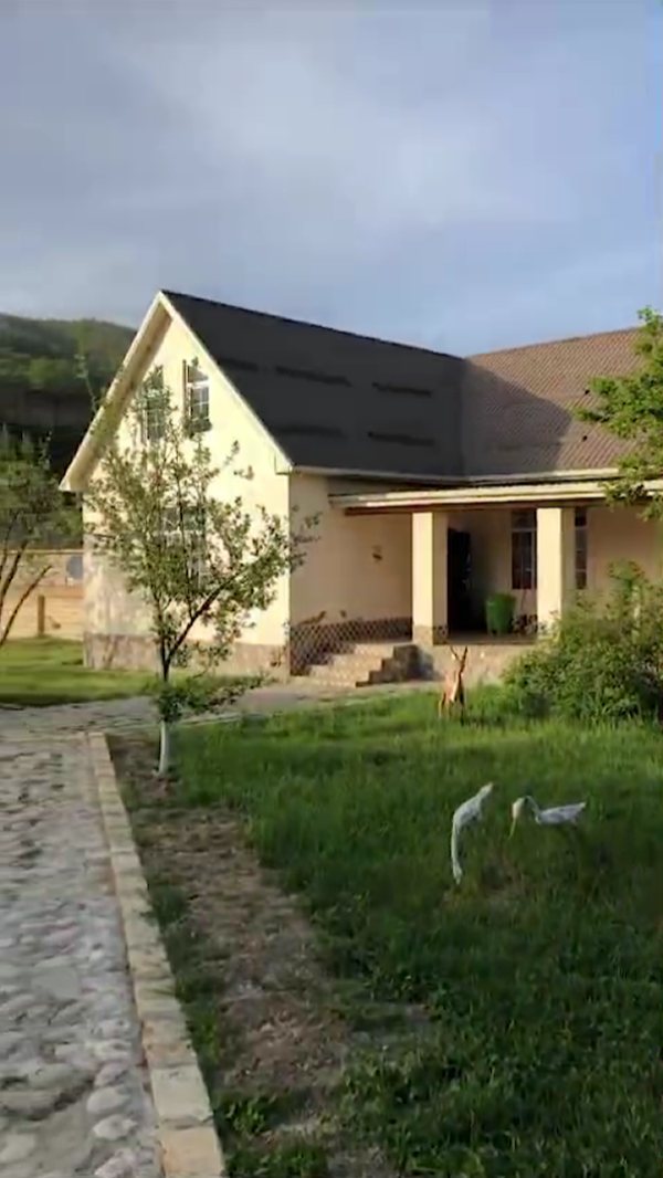 Mansion on the River Gusar 5