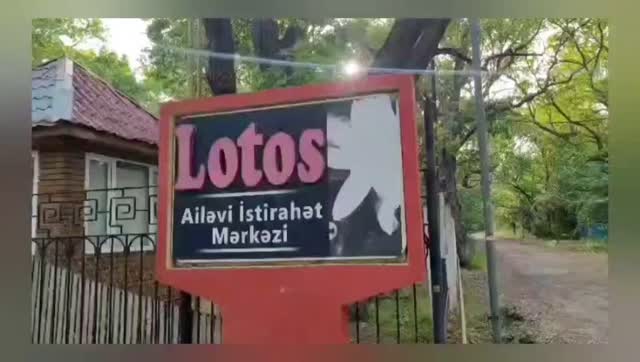 Lotos 4