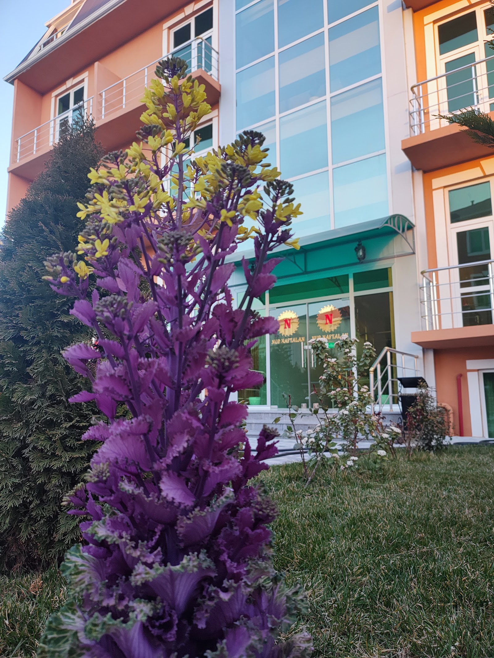 Nur Naftalan Sağlamlıq Mərkəzi 5