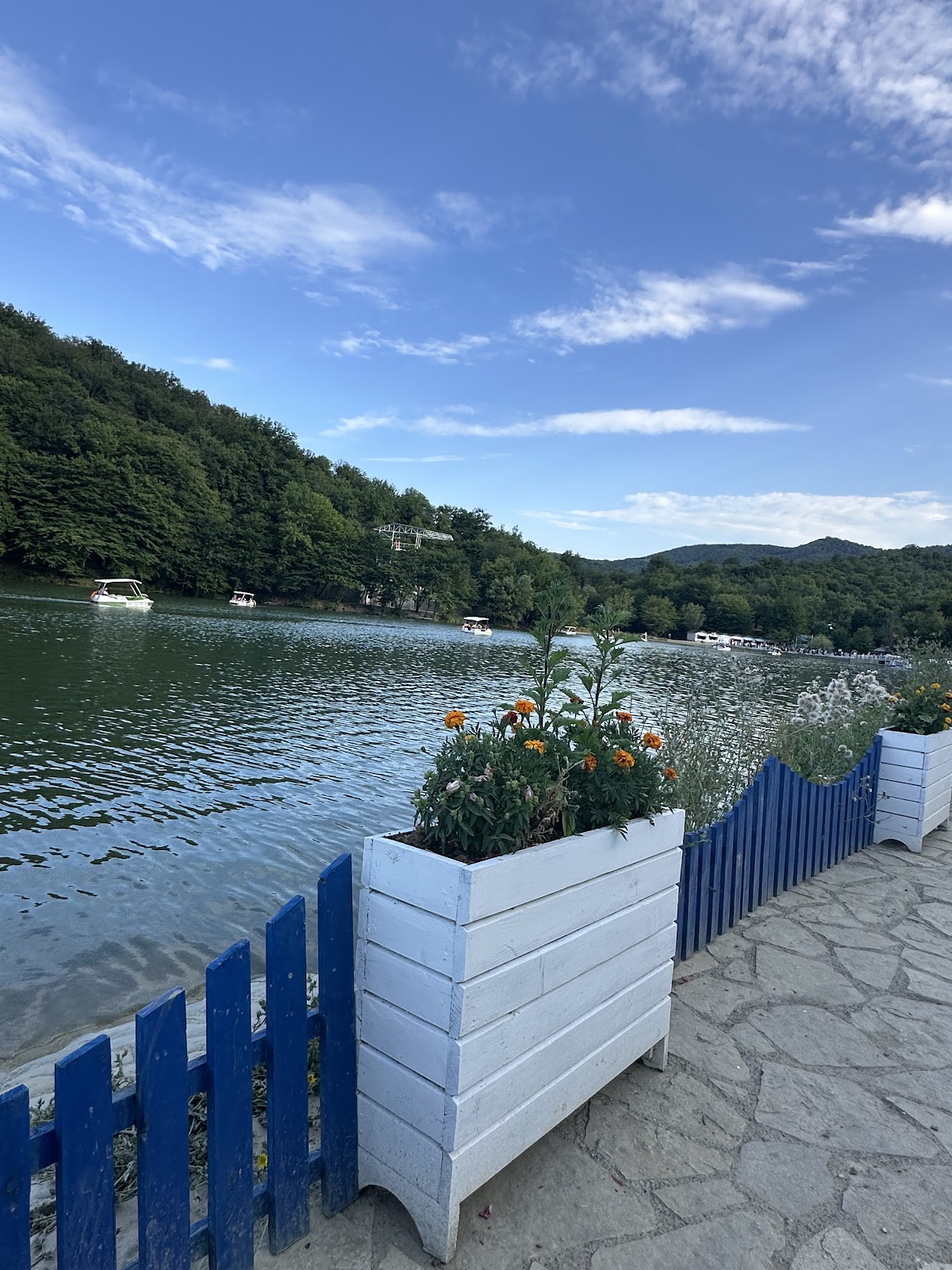 Macara Lake Park Hotel 5