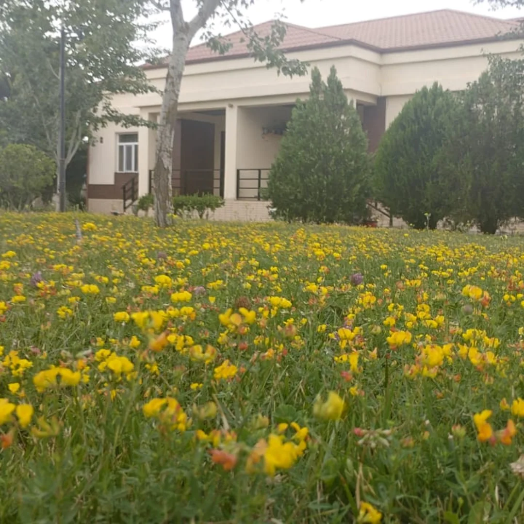 Şamaxı Sport Villas 3