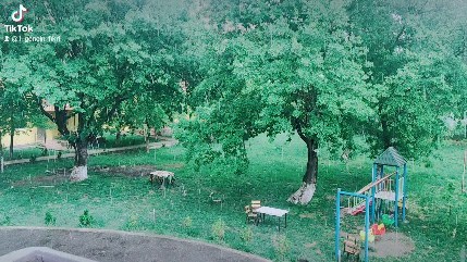 Korifey Otel Restoran 4