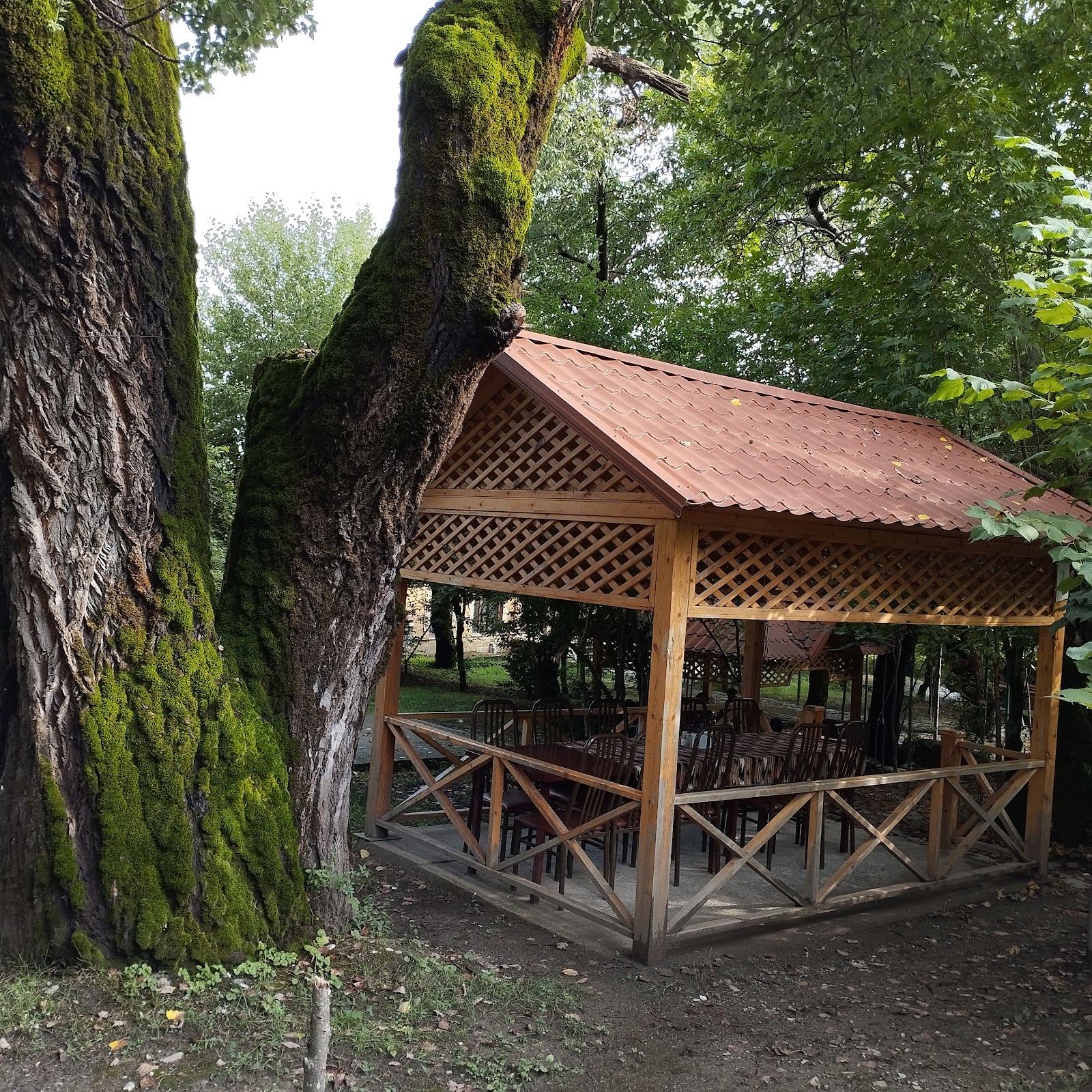 Xal-Xal Hotel Restoran 5