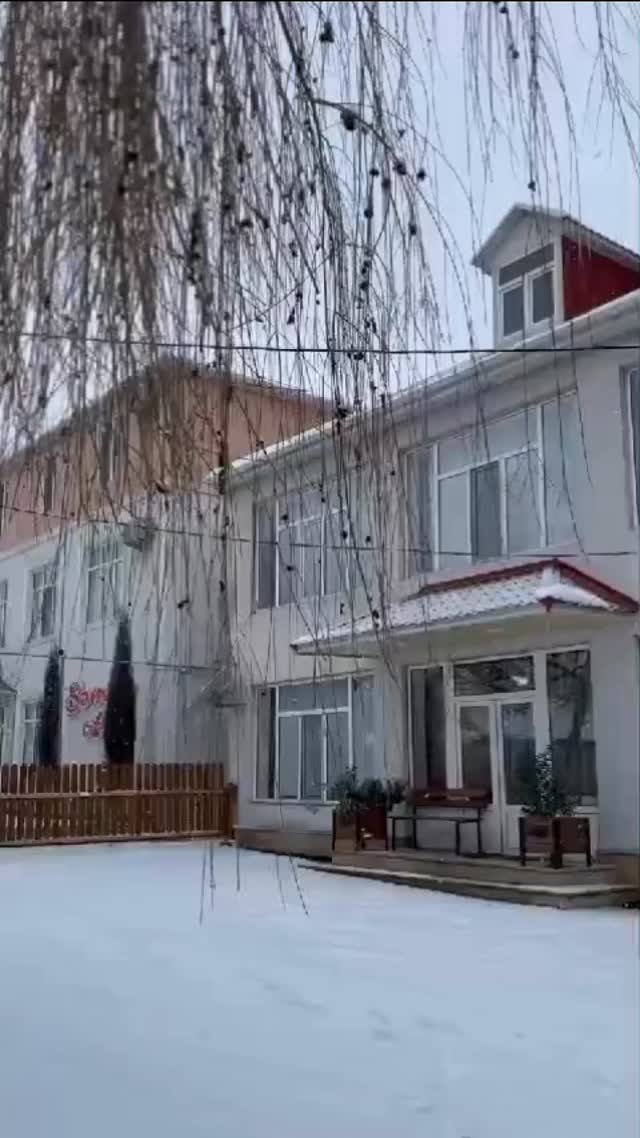 Elvin Hostel 2