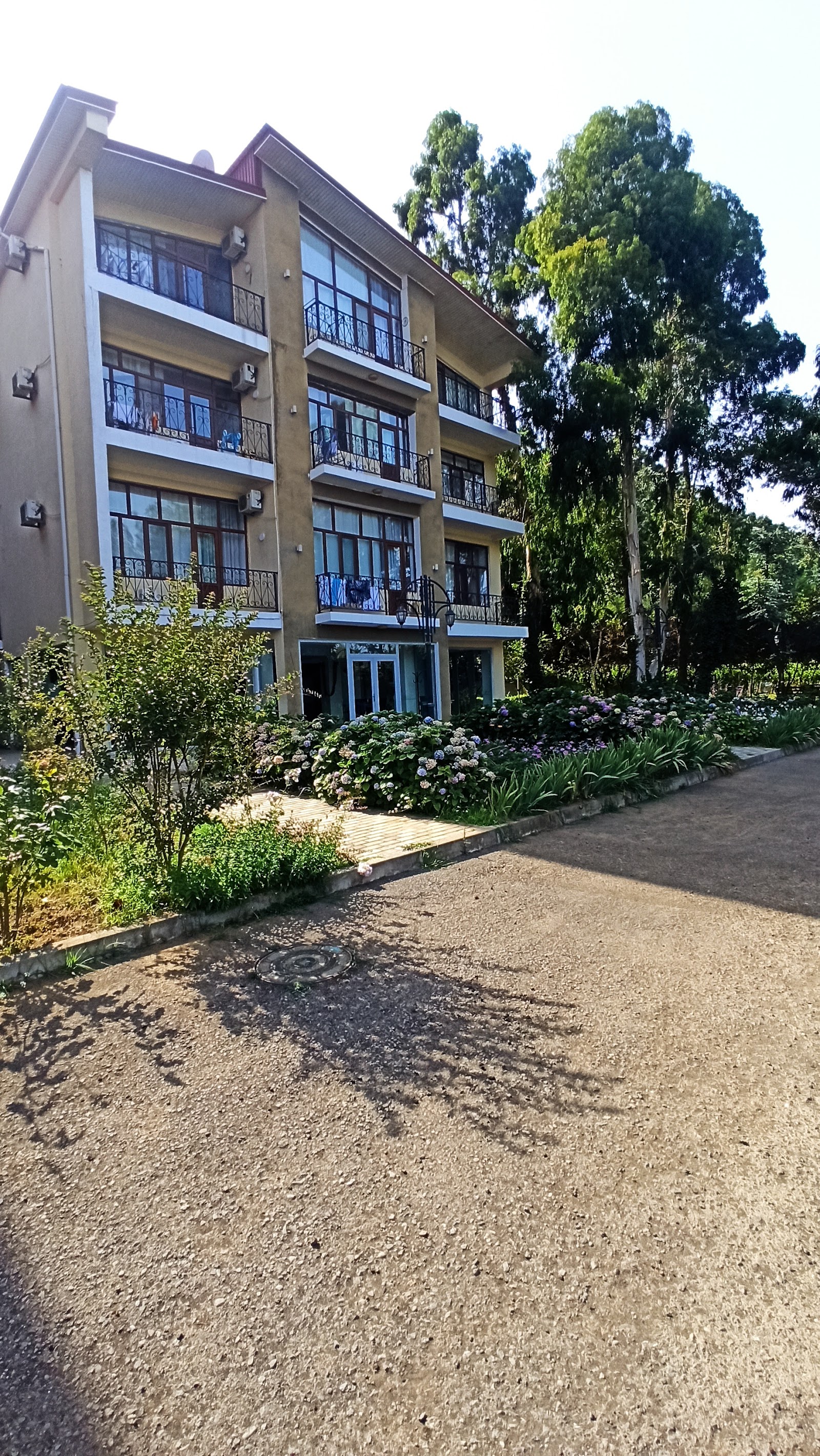 Palıdlı Sahil 2
