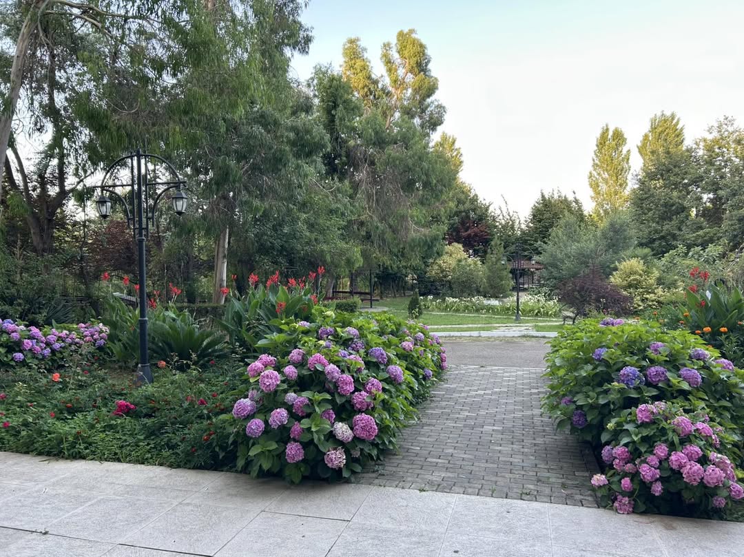 Palıdlı Sahil 5