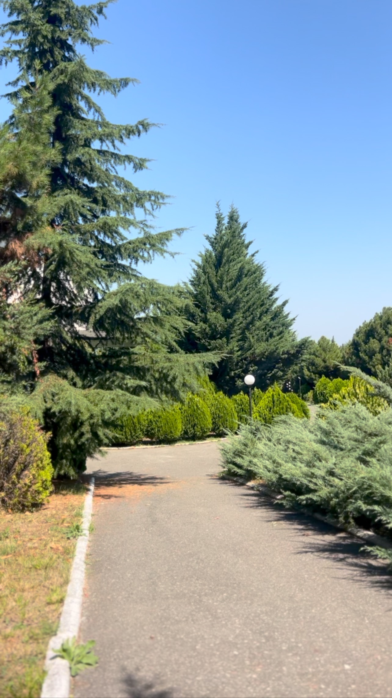 Wishna Resort & Spa 5