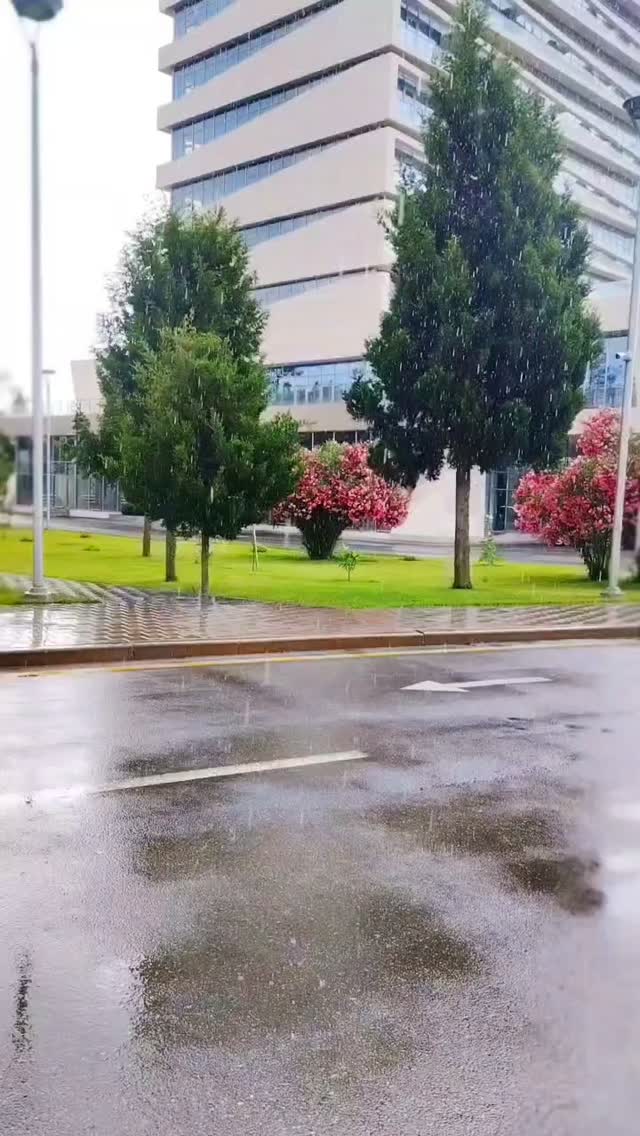 Naftalan Murov Otel & Sanatoriya 4