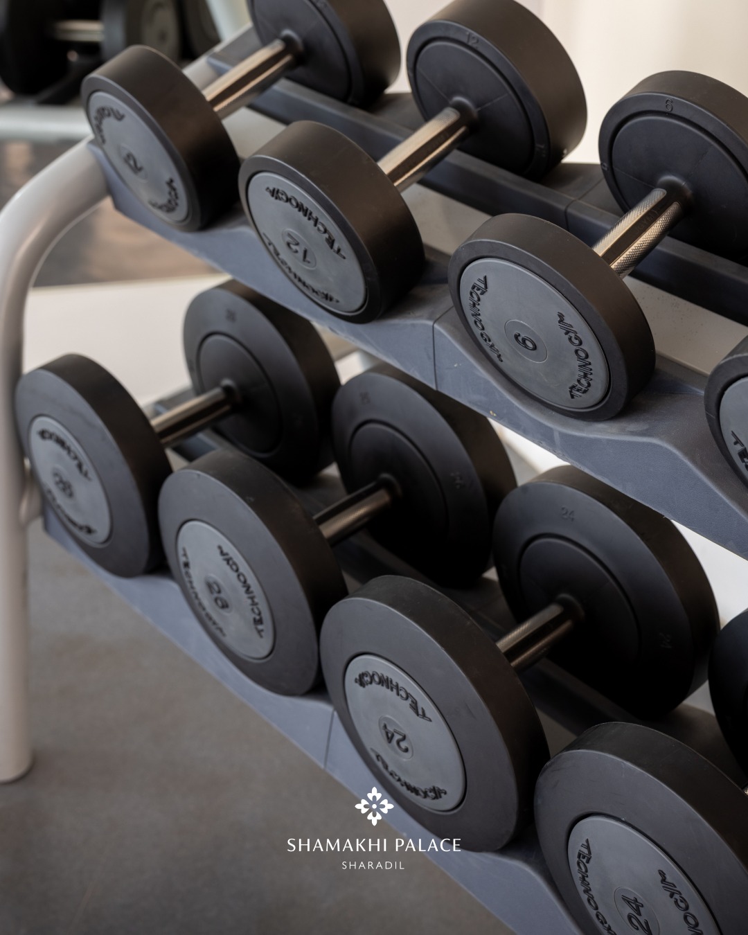 Şamaxı Palace Şərədil 2