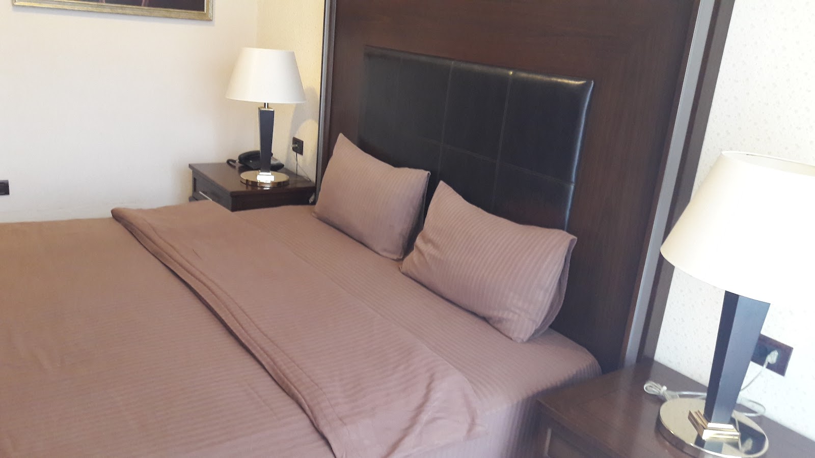 Chinar Health Hotel 4