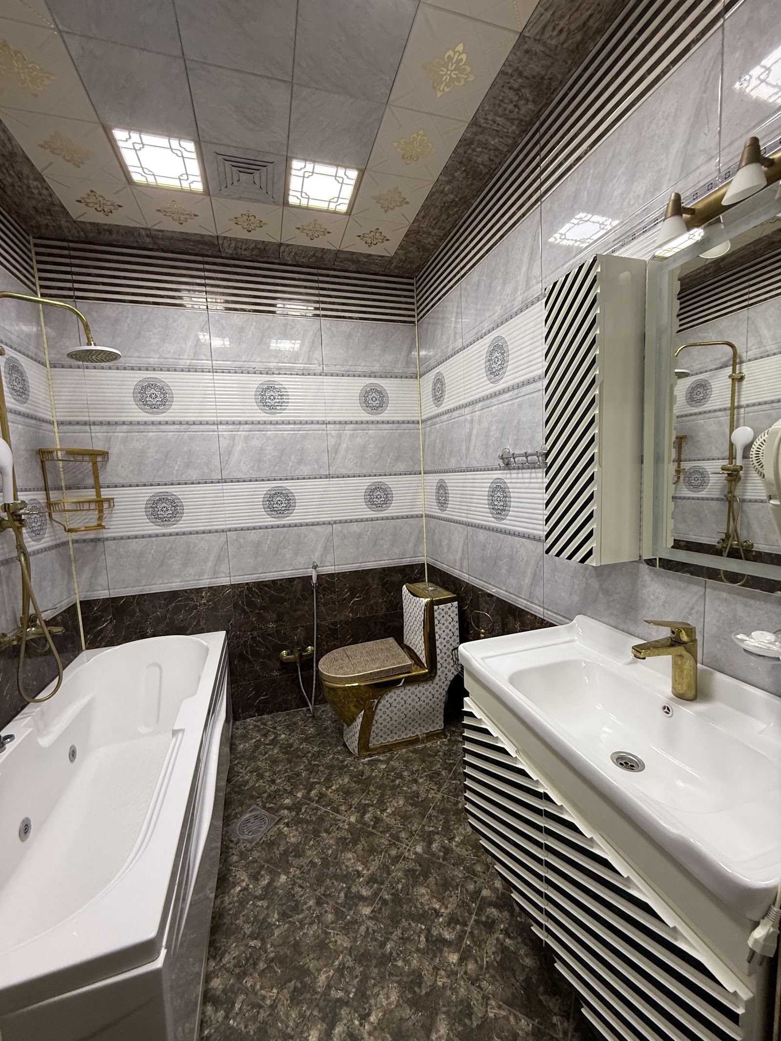 Delfin Hotel Ganja 3