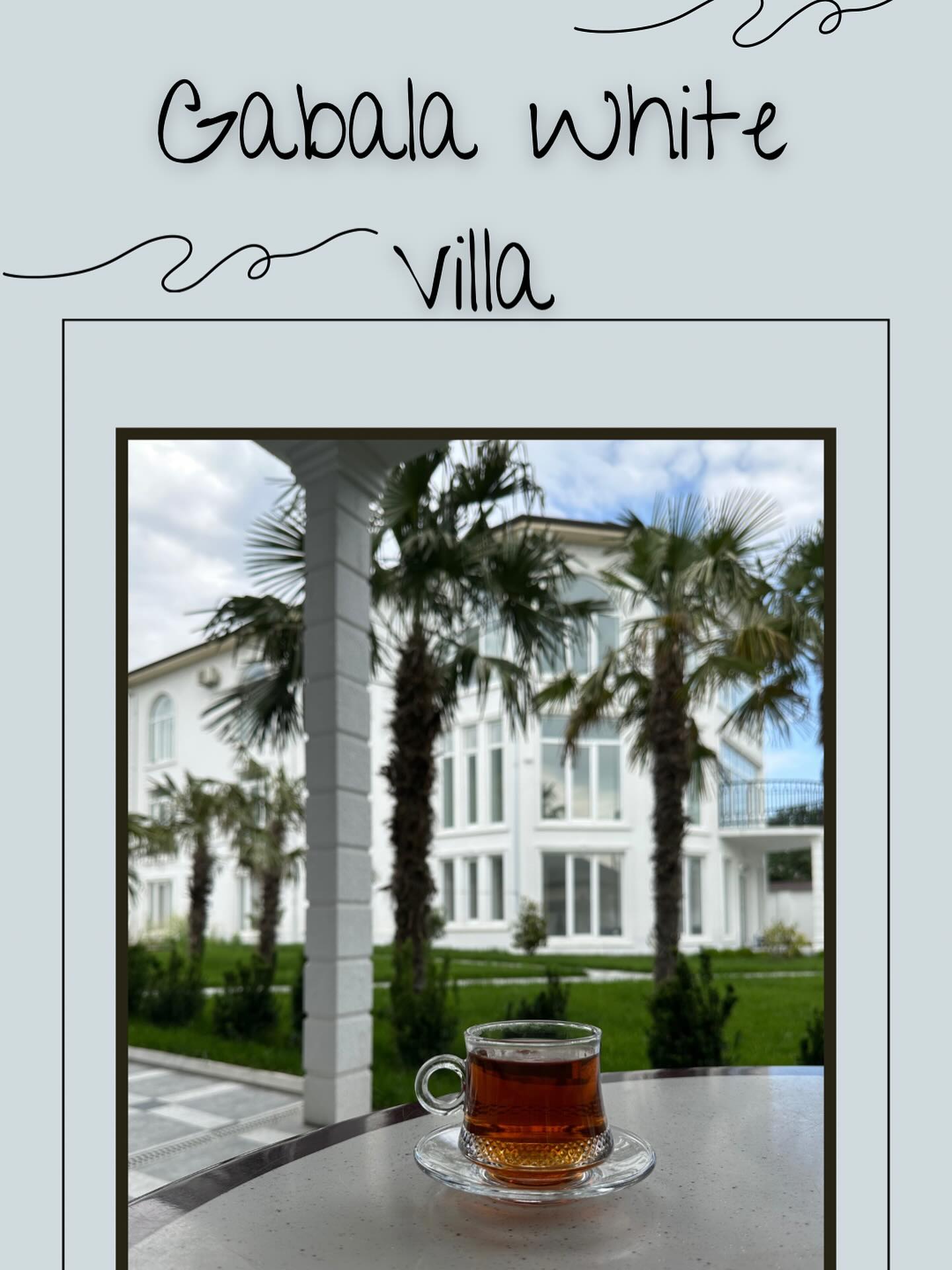 Qəbələ Palm Villa 3