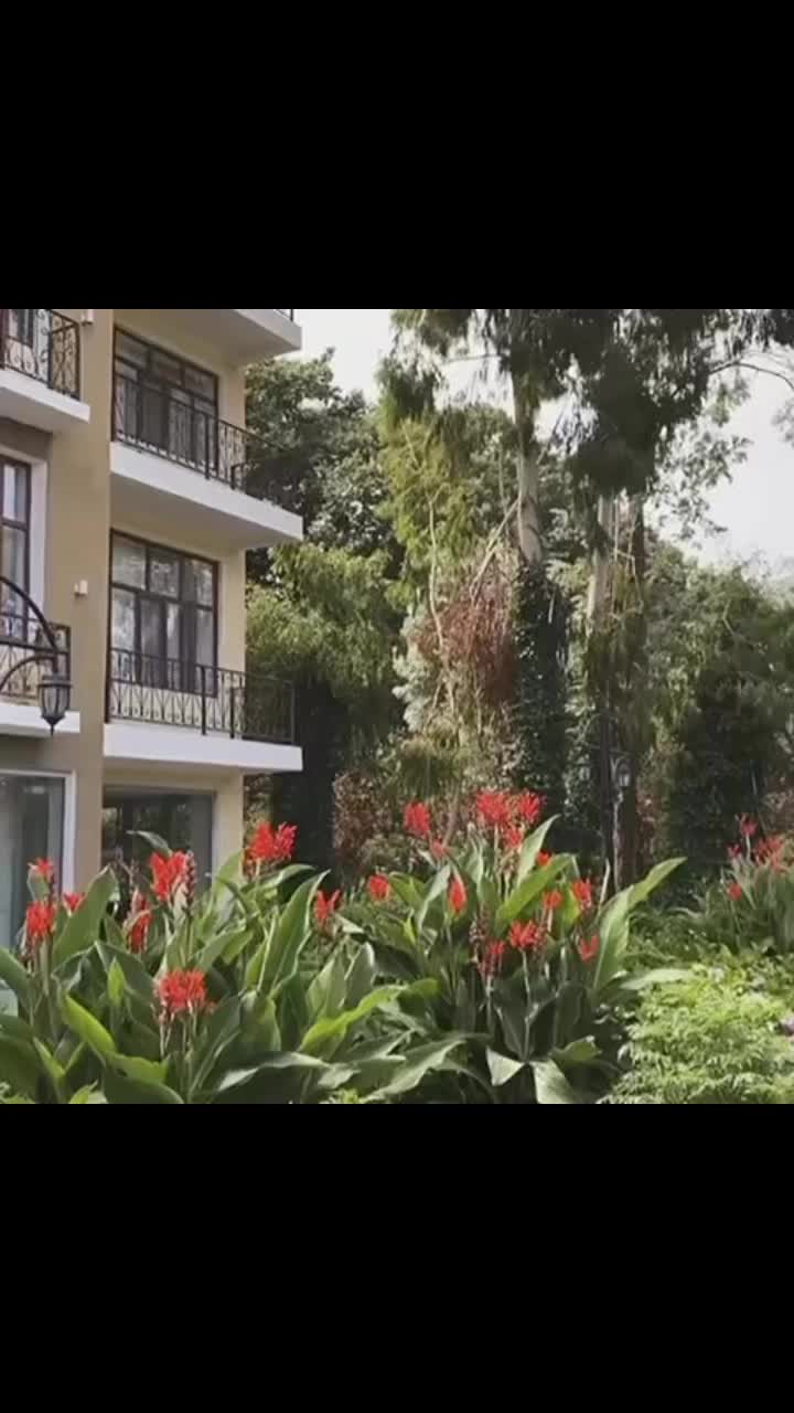 Palıdlı Sahil 4