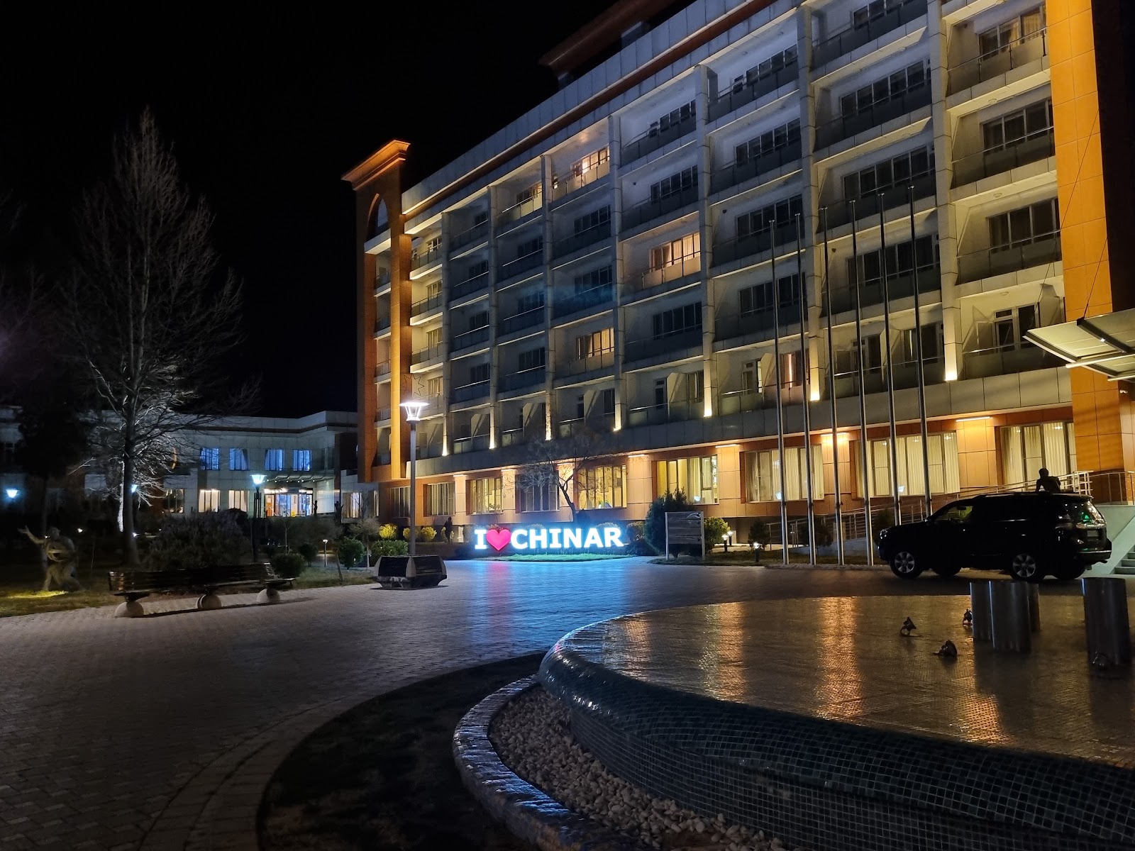 Chinar Health Hotel 2