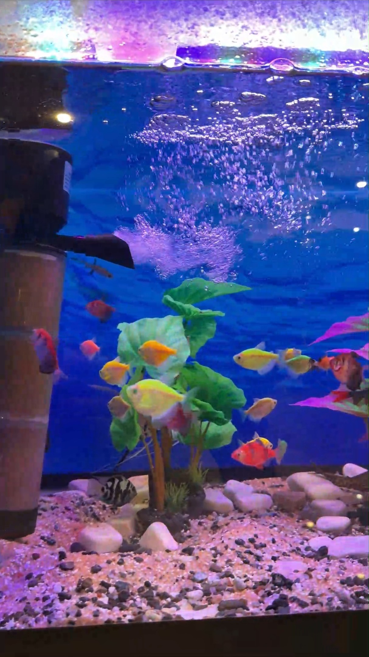 Regal Inn Hotel Baku 4