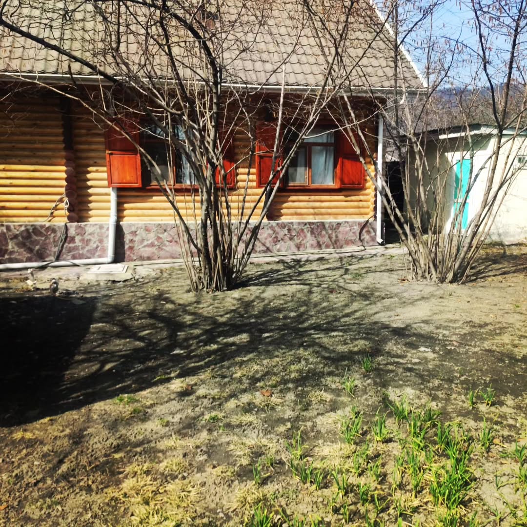 Gabala Firuza Apartments 2